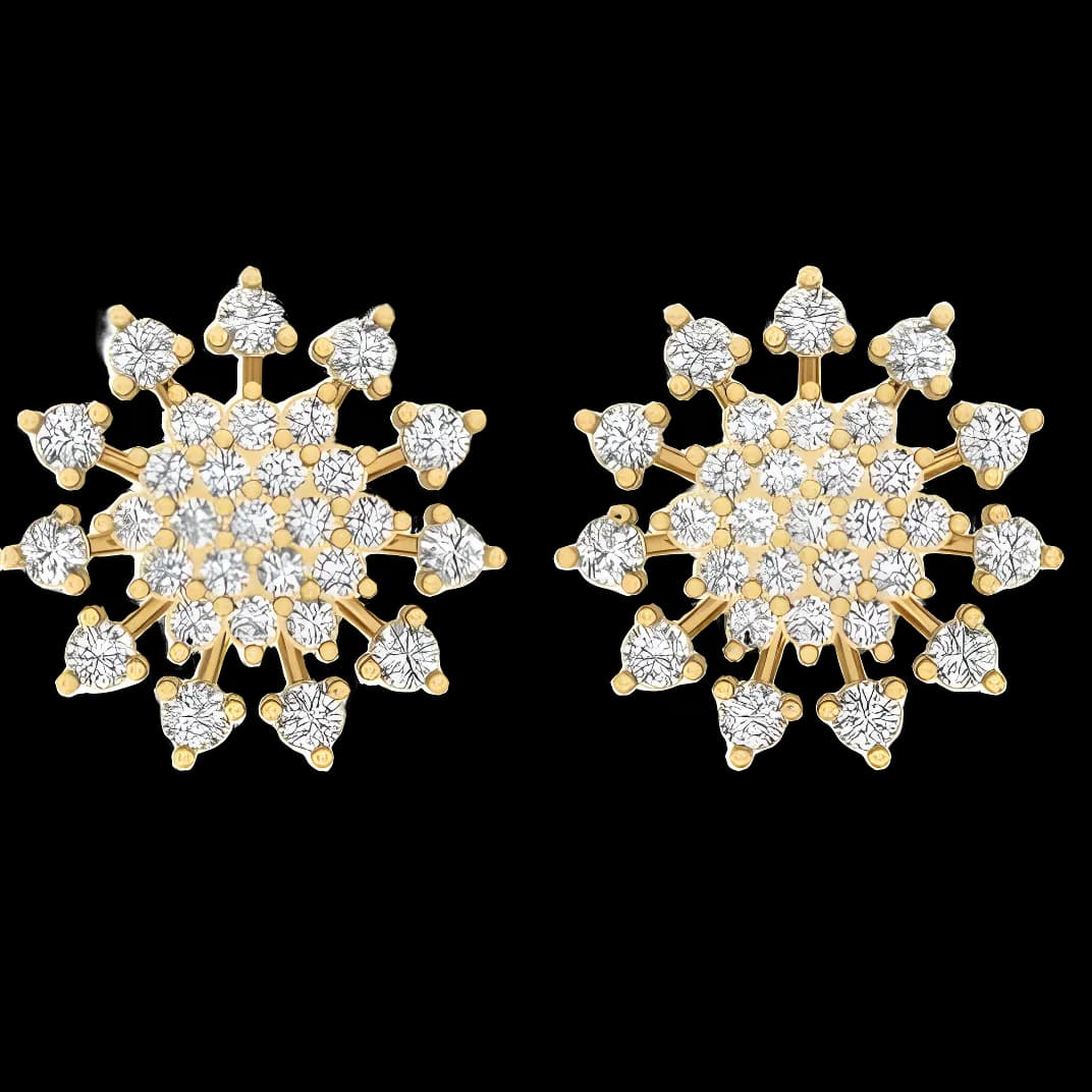 Boucles d'oreilles AIER-1312